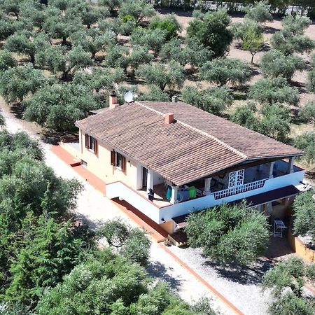 Appartement Rustico Degli Ulivi à Orosei Extérieur photo