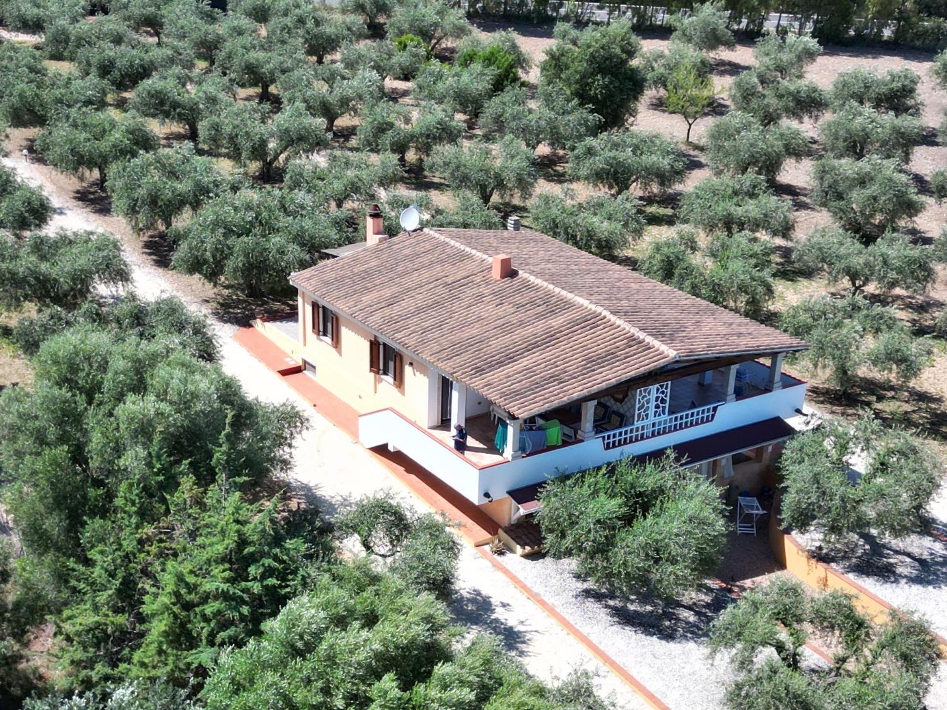 Appartement Rustico Degli Ulivi à Orosei Extérieur photo